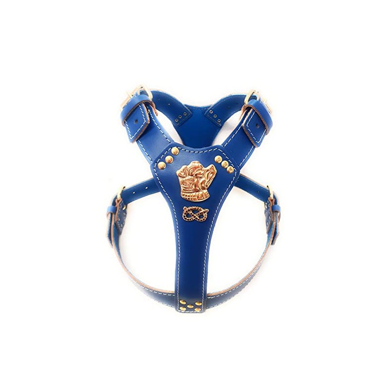 M&D Beautiful Blue Leather Dog Harness Large with Staffy Staffordshire