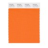 PANTONE Smart 17-1350X Color Swatch Card, Orange Popsicle