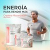 Primetech Nutrition Creatina Monohidratada Micronizada en Polvo 500 gr