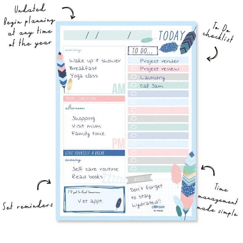 Pukka Pad, Carpe Diem Daily Desk Planner Pad with 60