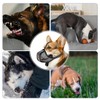 SIVZUMO Muzzle Medium Small Dogs, Prevent Eating, Chewing, Biting Dog