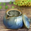 Stylish Kutani Ware Teapot Pot, Ginsayama Tea Flower Pot, Ceramic,