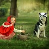 Haysandy 3 Pcs Halloween Big Bad Wolf Dog Costume Granny