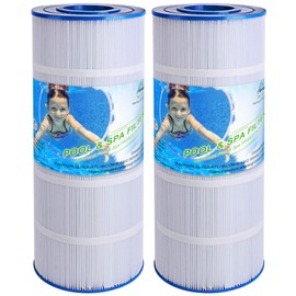 TOREAD Replacement for Pool Filter Pleatco PA120, CX1200RE, C1200, Unicel C-8412, Filbur FC-1293, Waterway Clearwater II, Pro Clean 125, 817-0125N, Aladdin 22002, 120 sq.ft Filter Cartridge, Pack of 2