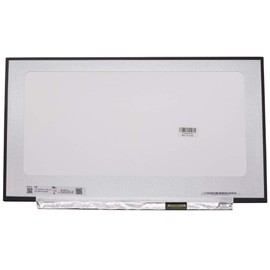 17.3 Inch LED FHD Screen Compatible with Dell Alienware Area 51M R1, 51M R2, Alienware Area P38E002 Laptop 144Hz Matte Display Panel with 40 Pins Connector