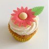 12 Gorgeous Mixed Colour Edible Wafer Daisies & 12 Pretty