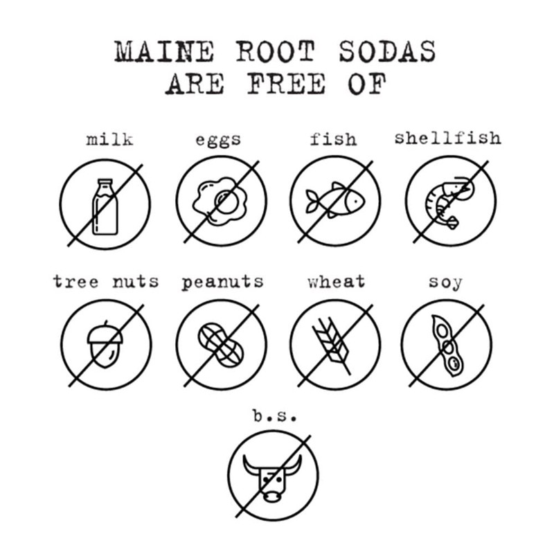 Maine Root Hand Crafted Ginger Brew Soda, 12 fl oz