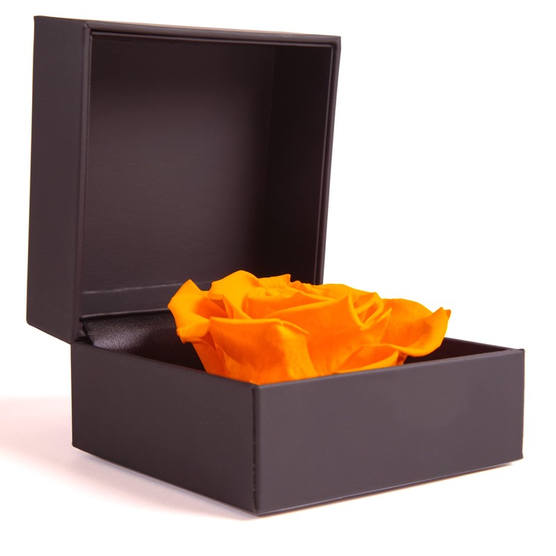 ROSEMARIE SCHULZ Heidelberg Rose Box Infinity Rose Preserved Gift Box
