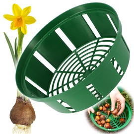 KADAX Plant Basket for Flower Bulbs, Plastic Propagation Basket, Propagation Tray for Vegetable Plants, Flower Bulb Basket in 2 Shapes for Spring Flowerers (18 cm Round, 1 Piece)