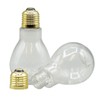 Creative Hobbies® Clear Fillable Plastic Light Bulbs – DIY Crafts,