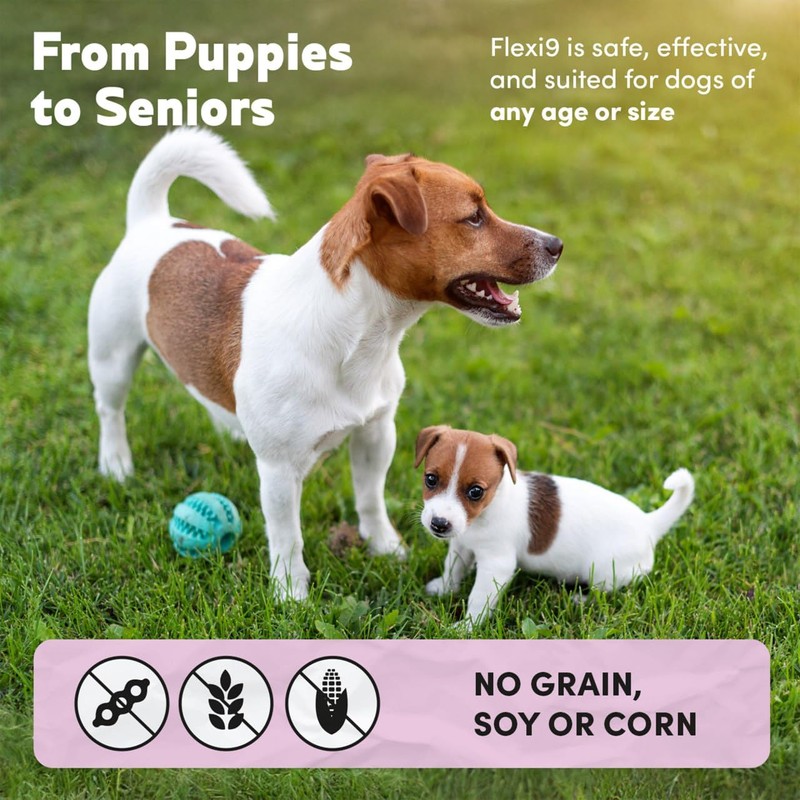 Hip and Joint Support Chews for Dogs - Glucosamine, MSM,