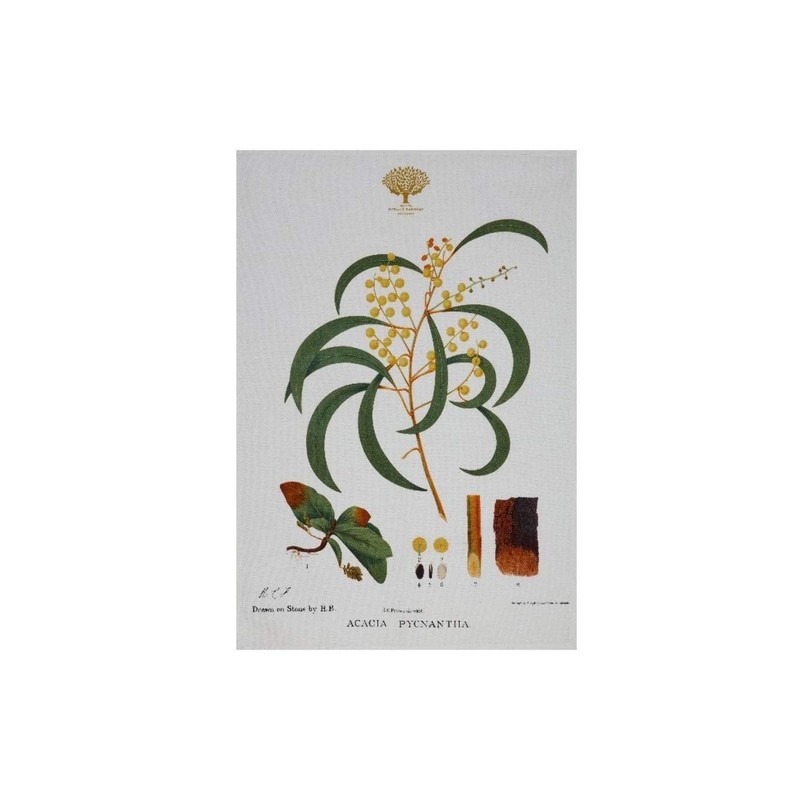 Maxwell & Williams Royal Botanic Gardens Australian Botanics Tea Towel
