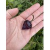 Purple UFO Pepper Premium Seed Packet