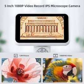 Andonstar Digital Microscope, 5" 1080P Coin Microscope Camera for Error Coin with 7.3" Metal Stand for Adults Kids, Handheld USB Coin Magnifier with 8 Adjustable LED Lights, Windows Mac PC View, AD115