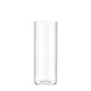 CYS EXCEL Clear Glass Cylinder Flower Vase (H:8" D:3") Hurricane