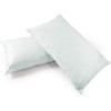 COMFORTNIGHTS, Light Green tint Waterproof and Wipe clean Pillow Protector, pair.