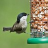 Ring-Pull Small Bird Feeder for Peanuts - Green