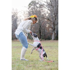 Harness Lead, Escape Resistant Leash, Reduces Pull, Dog Harness