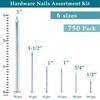 Nail for Hanging Pictures Assortment Kit - 750Pcs Small Nails,