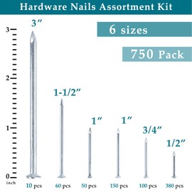 Nail for Hanging Pictures Assortment Kit - 750Pcs Small Nails, Finishing Nails, Hanging Nails, Picture Nails, Wall Nails for Hanging, Pin Nails