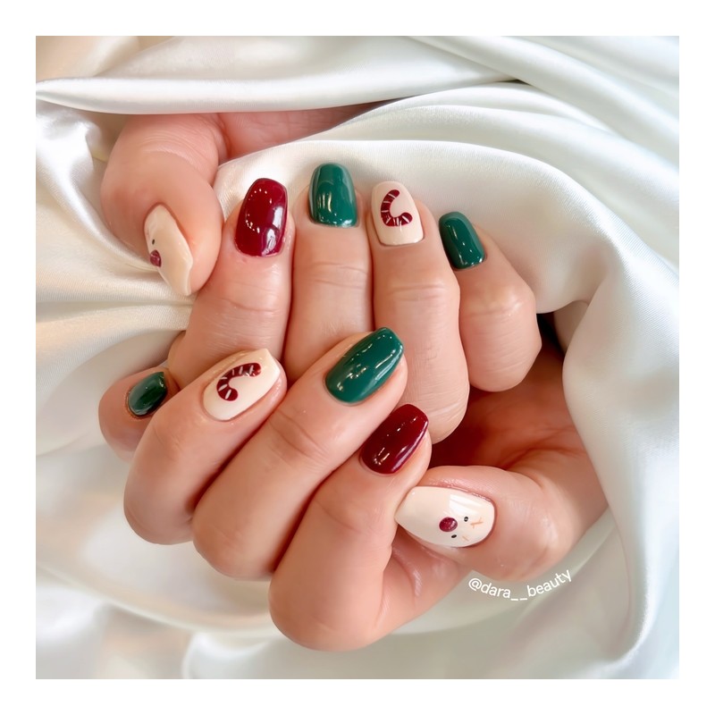 Dara Beauty 2024 December Art of the MonthRudolph Nail❣ -