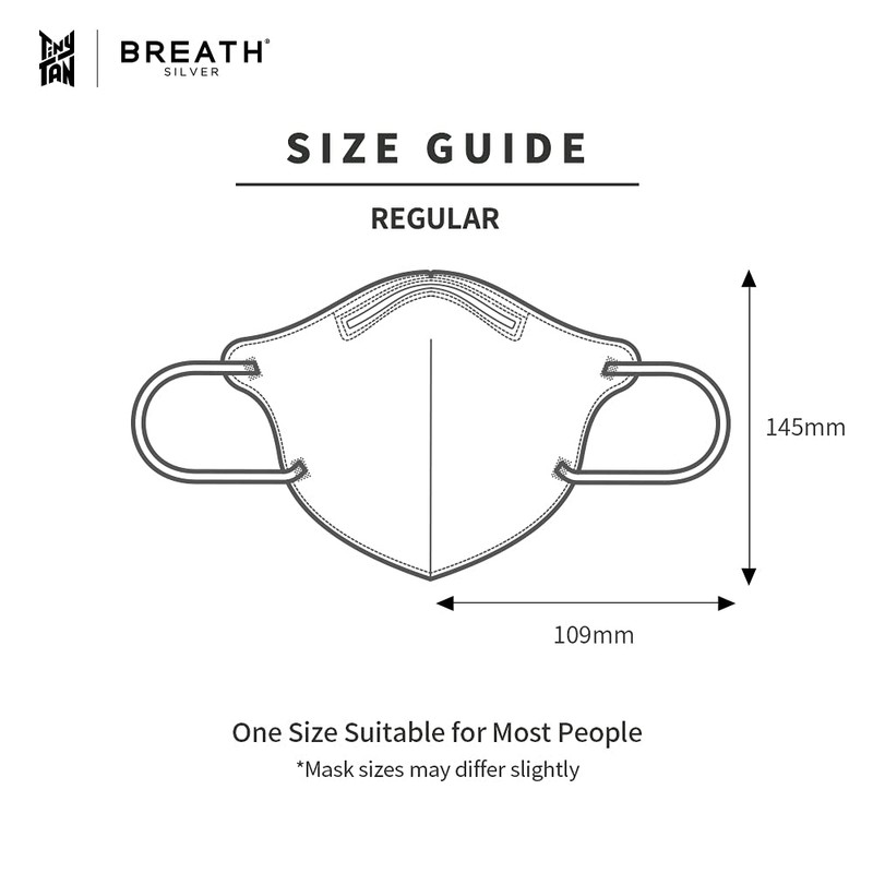 BREATH TinyTAN QUINTET Regular Gray (Set of 2) BTS TinyTAN