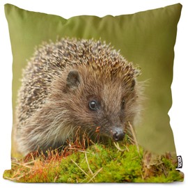 VOID Hedgehog Moss Forest Animal Cushion Cover Polyester Decoration Easter Decorative Cushion Outdoor Garden Cushion Size: 40 x 40 cm