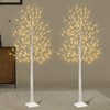 Seasonal Buddy Set of 2 6 feet Lighted Birch Tree,