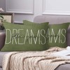 Emvency Olive Green Throw Pillow Cover Rustic Follow Your Dreams