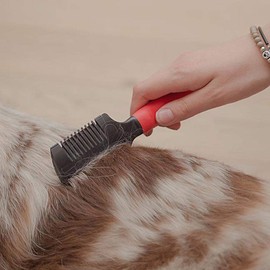 Ferplast Double comb with razor for dogs GRO 5991, 18,3 x 4,5 x h 1,8 cm