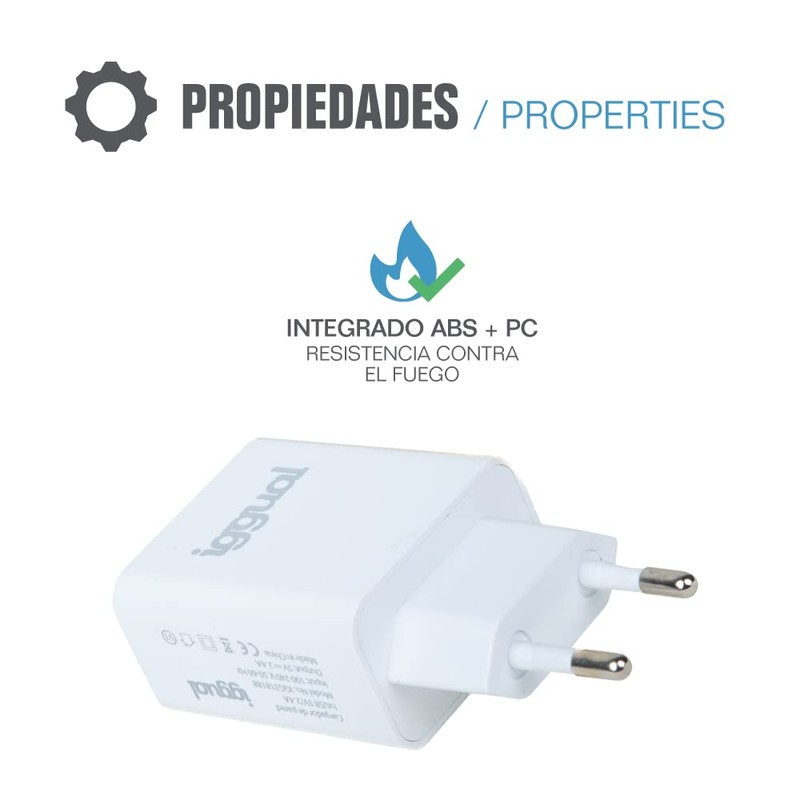 iggual IGG318188 12W Wall Charger