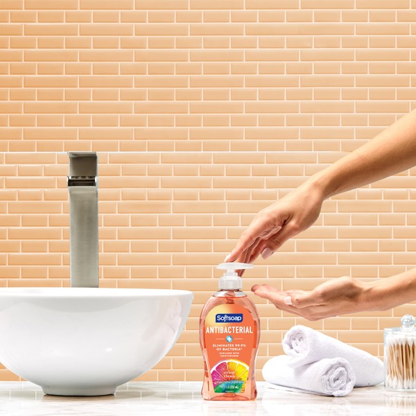 Softsoap Softsoap Antibacterial Liquid Hand Soap, Crisp Clean Scent Hand