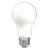 GE LED Light Bulbs, 100 Watt, Daylight, A19 (2 Pack)