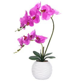YSZL Artificial Potted Orchid Faux Phalaenopsis Silk Flowers Bonsai Realistic Arrangement in Ceramic Vase for Home Decoration Table Centerpiece, Fuchsia