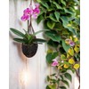 Hanging Orchid Planter Plant Pot: 5 Packs Bamboo Flower Basket