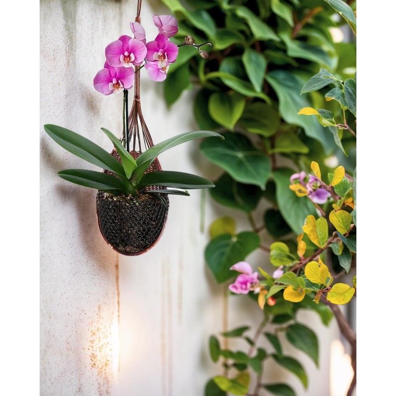Hanging Orchid Planter Plant Pot: 5 Packs Bamboo Flower Basket