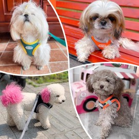 LOS ANDES Dog Harness Small Dogs, Chest Harness with Lead, Reflective Soft Padded Cat Harness, Air Mesh Dog Harness for Puppies, Small Dogs, Cats