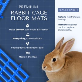 Planet Rabbit Premium Rabbit Cage Mats (Blue, 1 Pack) | Heavy Duty ABS Wire Floor Protectors | Prevent Sore Hocks & Feet for Bunnies | 15x10 in Floor Mat | Chew Resistant, Dishwasher Safe