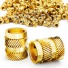 Ziamzra Threaded Insert M2.5 Melting Thread Pack of 100 Insertion