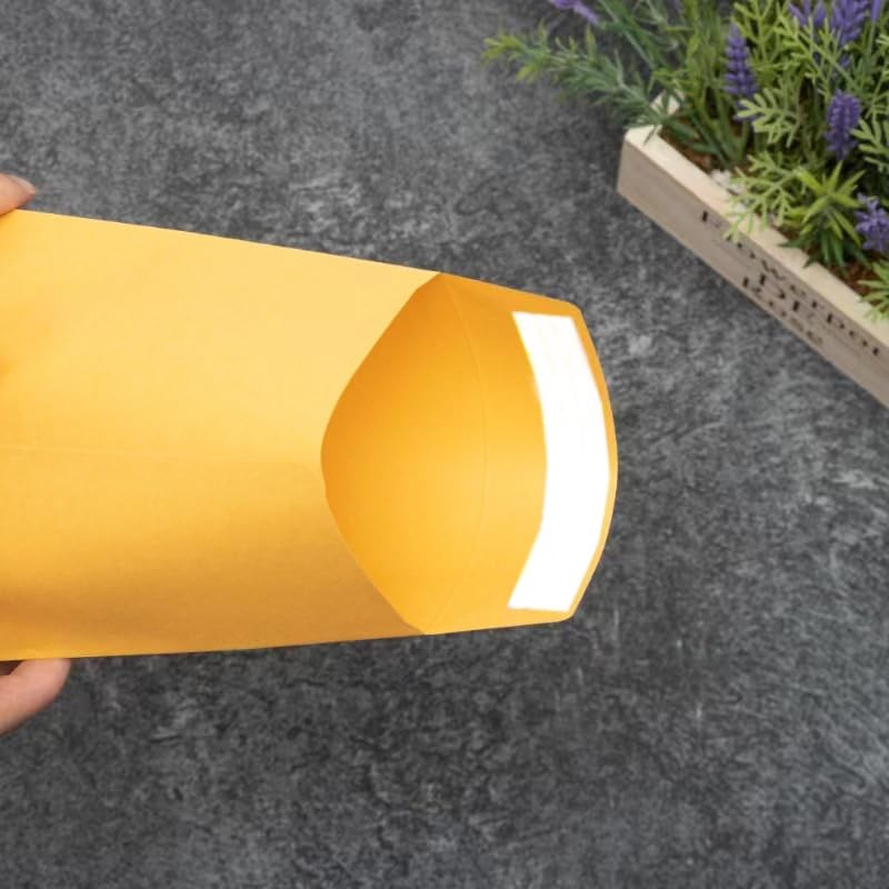 Packpal Manilla Envelopes 6x9 100Pack Brown Catalog Envelopes Self Sealling