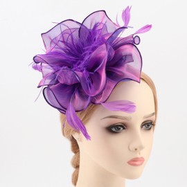 DRESHOW Fascinators Hat Tea Party Headwear Ribbons Feathers on a Headband and a Clip for Girls and Women