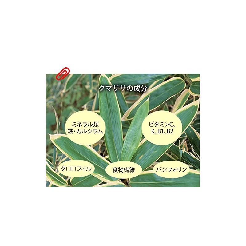 【国産 100%】熊笹茶 クマザサ茶 100g×2袋セット 無農薬 ノンカフェイン 巣鴨のお茶屋さん 山年園