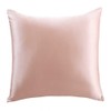 LULUSILK 100% Pure Silk Pillow Case for Hair and Skin