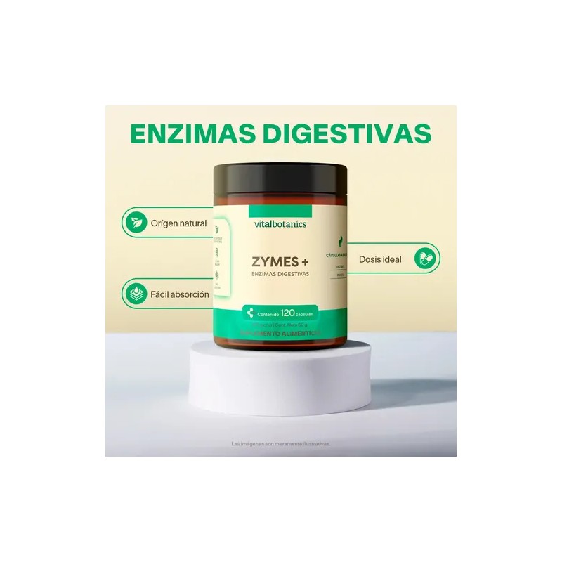 Enzimas Digestivas Con Papaya C/ 120 Caps | Vitalbotanics Sabor
