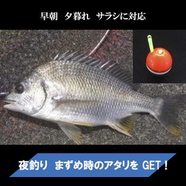 ASPALAND Cone Float Sea Bream, Chinu, Ukifukase, Sea Fishing, 2 B, Acorn, Float Through (Orange 2B, Set of 2)