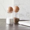 Santa Barbara Design Studio Salt & Pepper Shakers Sleek Kitchen