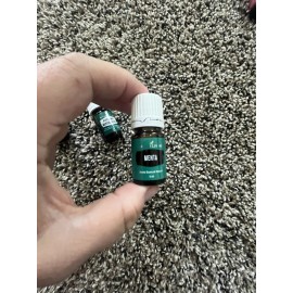 Young Living Peppermint 5 Ml Essential Oils Foreign Label Menta