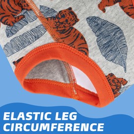 BIG ELEPHANT 10-Pack Baby Potty Training Underwear, Soft 100% Cotton Absorbent Training Pants for Boys & Girls, 2T