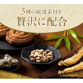 [和漢二千年の叡智 厳選素材配合] 養生源 120粒入り 1ヶ月分 サプリ 高麗人参 霊芝 田七人参 黒高麗人参 植物性ナノ型乳酸菌 漢方 無添加 サプリメント