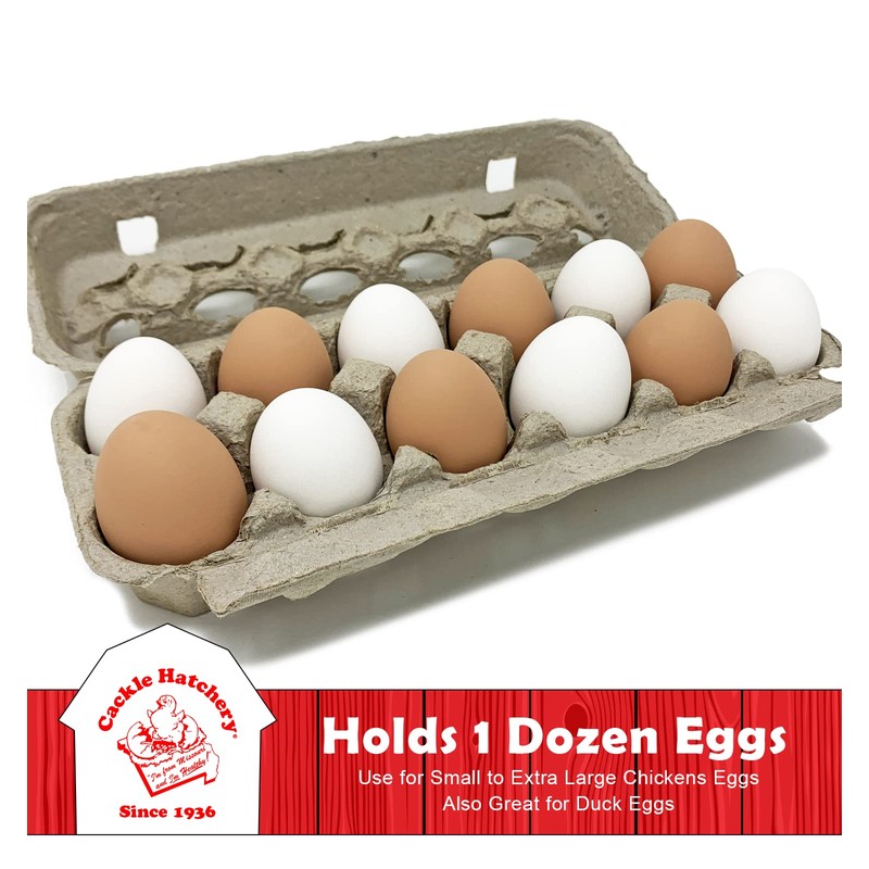 Cackle Hatchery Vented Paper Pulp Egg Cartons Holds 1 Dozen